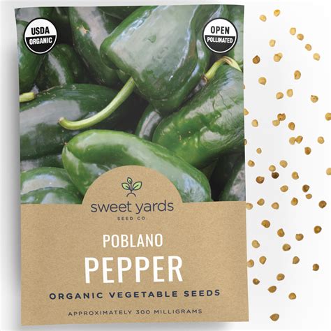 Organic Poblano Pepper Seeds Sweet Yards