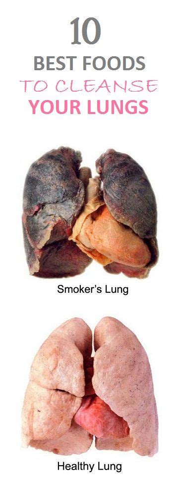 The lungs are an essential organ for human life because they work to bring in oxygen and remove carbon dioxide. The Best Foods to Cleanse your Lungs - Get N Tips