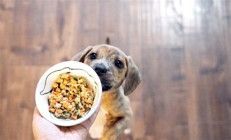 What we're looking forward to. 5 Best Human-Grade Dog Foods 2021 Reviews + Ratings
