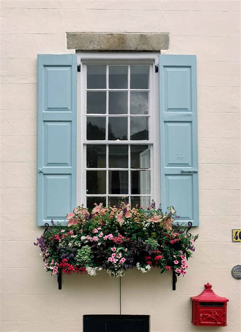 How To Plant A Window Box Darling Down South