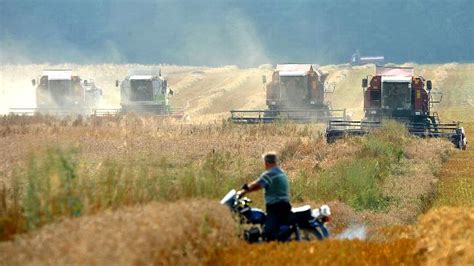 Uae Invited To Invest In Belarusian Agricultural