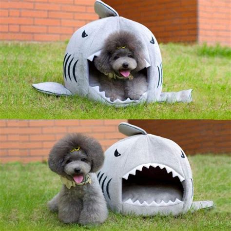 Two Pictures Of A Dog In A Shark Shaped Bed With Its Mouth Open And