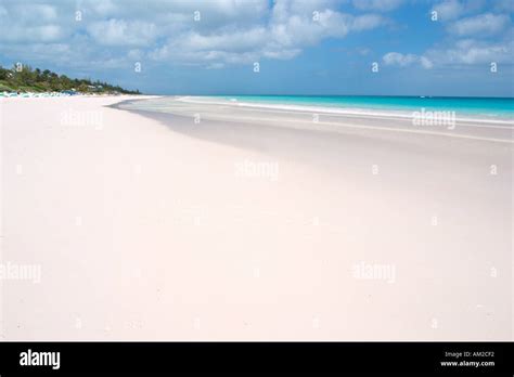 Pink Sand Beach Harbour Island Bahamas Out Islands Caribbean Stock
