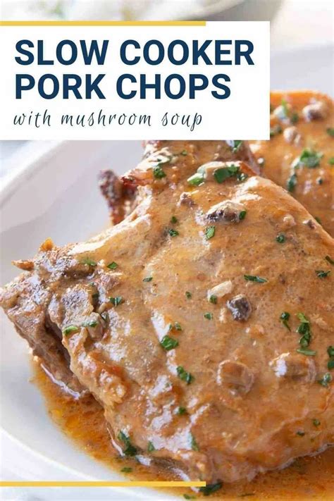 Crock Pot Pork Chops Slow Cooker Pork Chops Recipes Pork Chop
