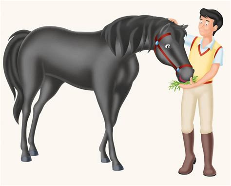 Bibi Und Tina Pferd Von Alex Information Online
