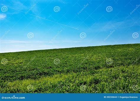 Meadow Stock Photo Image Of Green Land Ground Cloud 20233644