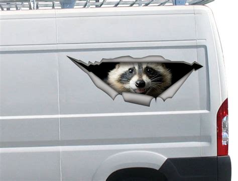 Raccoon Car Decal Animal Decal 3d Sticker Vinyl Decal Etsy