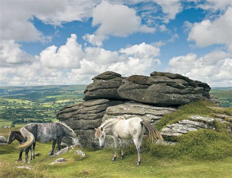 Historic england holds an extensive range of publications and historic collections in its public find out about services offered by historic england for funding, planning, education and research, as well. Dartmoor - I used to go here on weekends. Really close to ...