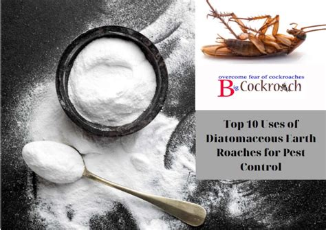 Top 10 Uses Of Diatomaceous Earth Roaches For Pest Control Overcome Fear Of Cockroaches With