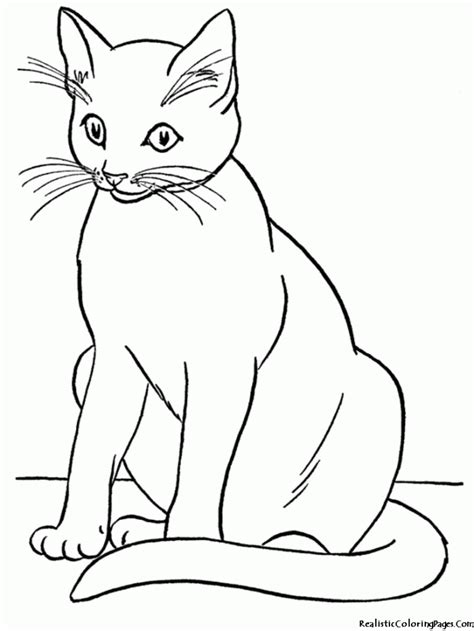 Free Realistic Cat Coloring Pages Download Free Realistic Cat Coloring