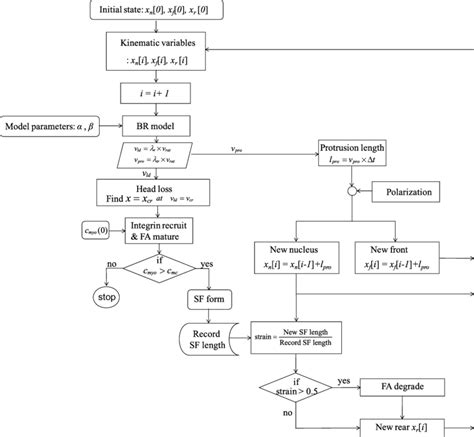 Maybe you would like to learn more about one of these? Flow chart of cell migration simulation. | Download ...
