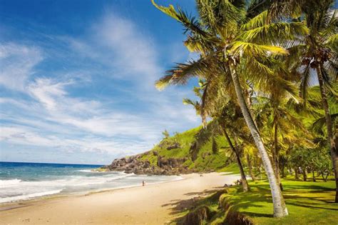 Que Faire à La Réunion Top 20 Lieux à Voir Absolument Voyage Tips
