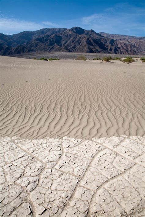Windblown Sand And Mudcracks Vertical Geology Pics