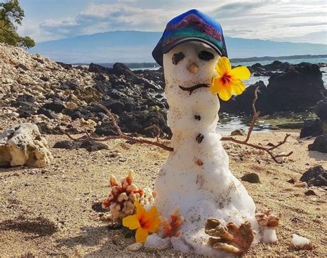 Parts Of Hawaii Are Covered In Snow 10 Pics