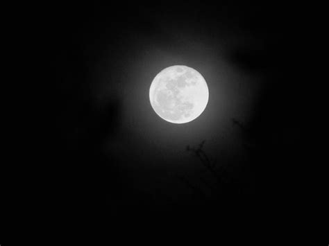 무료 이미지 자연 실루엣 빛 검정색과 흰색 하늘 밤 분위기 어두운 저녁 공간 어둠 단색화 보름달 월광