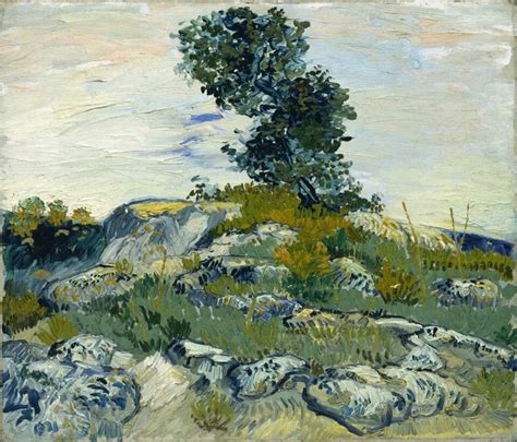 Field France In Lavender Van Gogh Lavender Fields Of France
