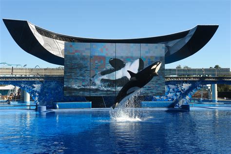 What Does The Future Hold For Seaworld Entertainment Designer