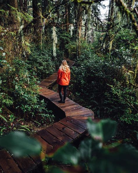 A Woman In An Orange Jacket Walking On A Wooden Path Through The Forest