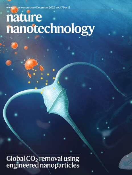 Subscribe To Nature Nanotechnology