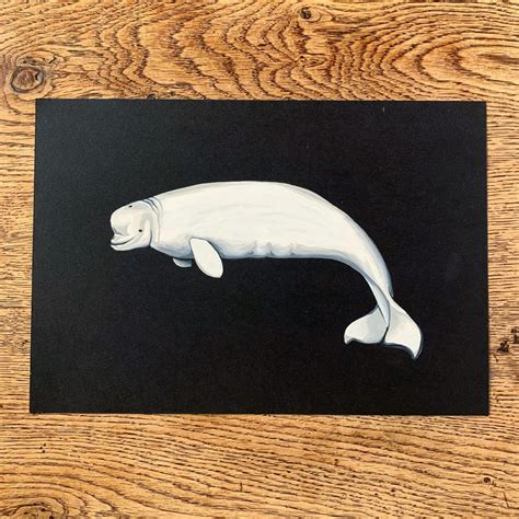 Beluga Whale Original Painting In Gouache Etsy