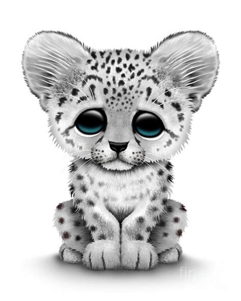 Cute Baby Snow Leopard Cub Digital Art By Jeff Bartels Pixels