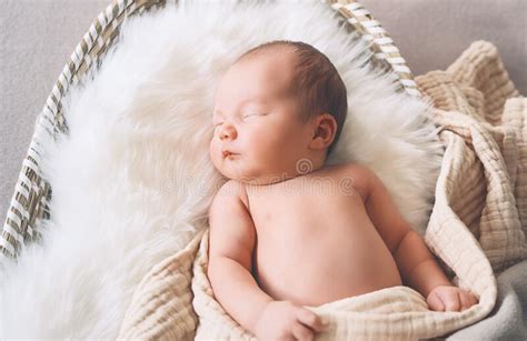 Sleeping Newborn Baby In Basket Wrapped In Blanket In White Fur