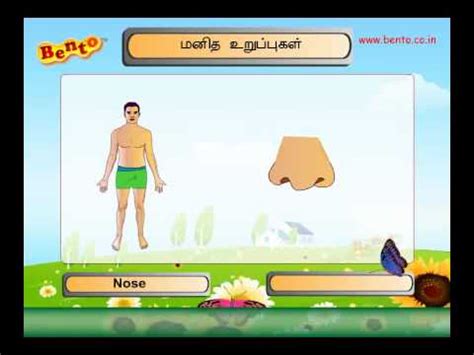 Skull, temple, ear, forehead, face, adam's apple , shoulder, nipple, breast, armpit, thorax, navel, abdomen, pubis, groin, knee, foot, toe, ankle, instep. TAMIL LEARN HUMAN BODY PARTS - YouTube