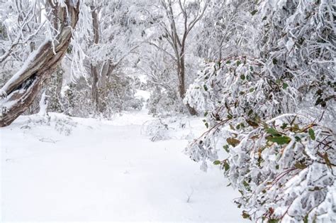 10 Best Winter Holiday Destinations In Australia