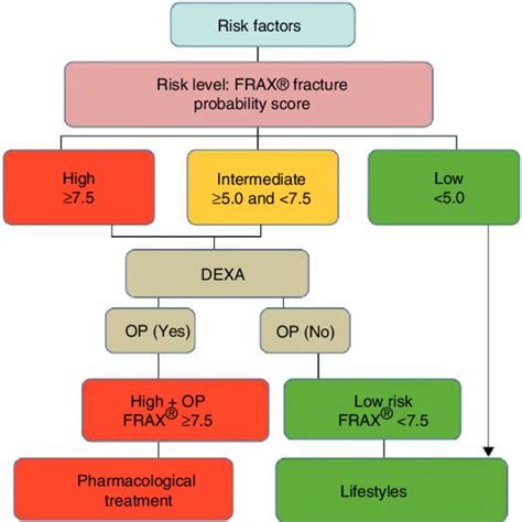 Example Of The Fracture Risk Assessment Tool Frax ® For Spain Download Scientific Diagram