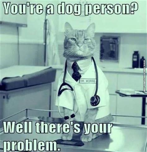 Funny Cat Doctor Pictures
