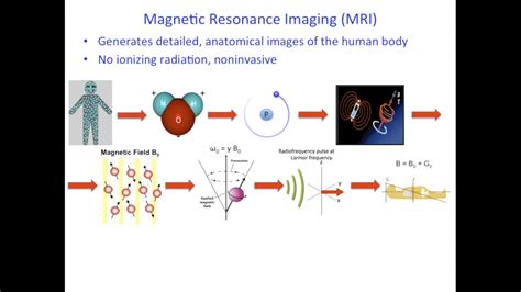 How Does Mri Work A Brief Overview In One Slide Youtube