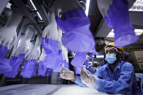 Alibaba.com offers 2350 nitrile gloves malaysia manufacturer products. Malaysia glove company increases payments to migrant ...