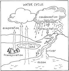 Place approximately 3 tablespoons of water in the small glass and add about 10 drops of blue food coloring. 13 Best Images of The Water Cycle Worksheet Answers ...