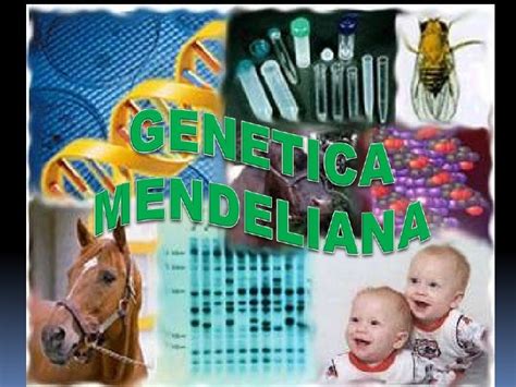 Genetica Mendeliana