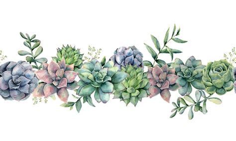 Watercolor Succulents Seamless Bouquet Hand Painted Green