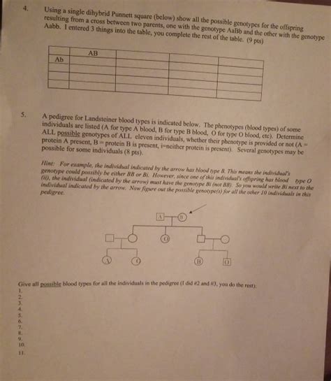The punnett square is a square diagram that is used to predict the genotypes of a particular cross or breeding experiment. Dihybrid Punnett Square - Dihybrid Punnett Squares How To ...