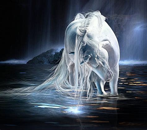 Fantasy Unicorn At Night In The Water