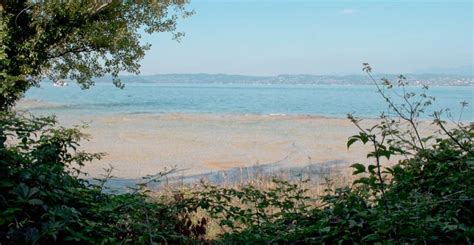 The water is clean, the beach is free. Spiaggia Jamaica Sirmione