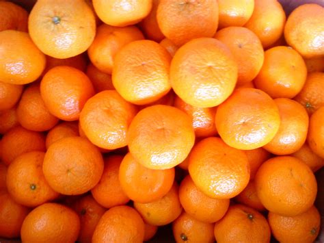Indonesian Fruit Description Of The Orange Fruit