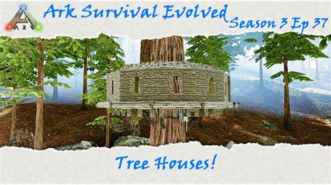 1 sourrondings 2 creatures 3 resources 4 notes it borders to the desert in the south the snow in the west and north and the ocean in the east. Ark Survival Evolved S3E37: Redwood Biome Base Build ...