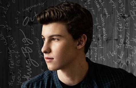 Shawn Mendes Debut Single Life Of The Party Becomes Instant Hit