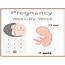 11 Weeks Pregnant SymptomsBaby Development And Progress