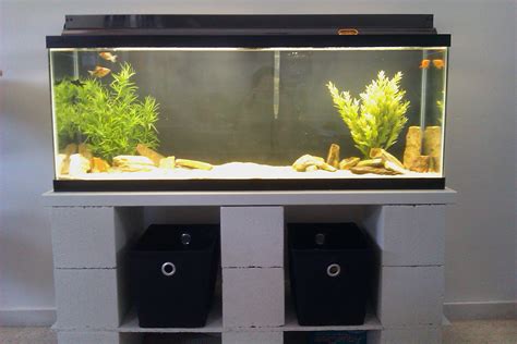 Home » fish tanks » best 55 gallon fish tank stands. Aquarium checklist: setting up a fish tank | HireRush