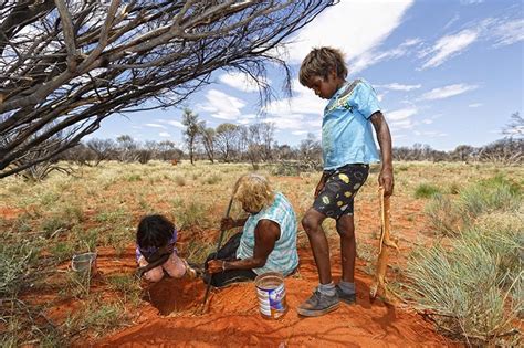 trauma  australias indigenous stolen generations