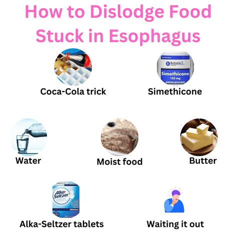 7 Methods To Dislodge Food Stuck In Esophagus Updated 2024 Credihealth