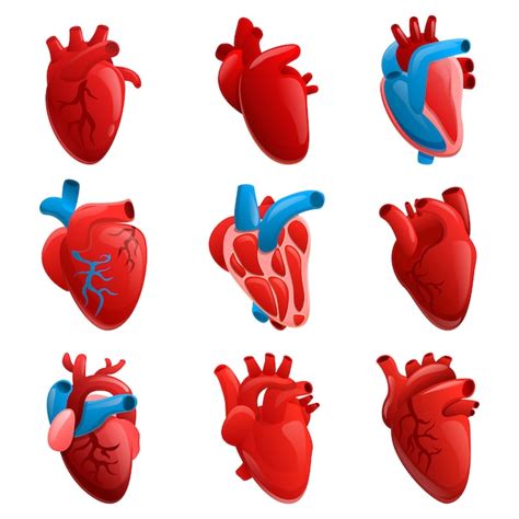 Conjunto De Iconos De Corazón Humano Estilo De Dibujos Animados
