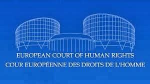 Avrupa İnsan Hakları Mahkemesi ne Başvuru Dilekçesi Örneği Hazır