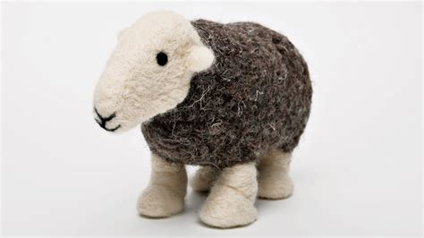 9 Facts About Wool Wool Is Cool The Herdy Company
