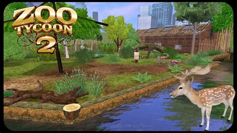 Zoo Tycoon 2 Ultimate Collection Download Kickass Healthcareper