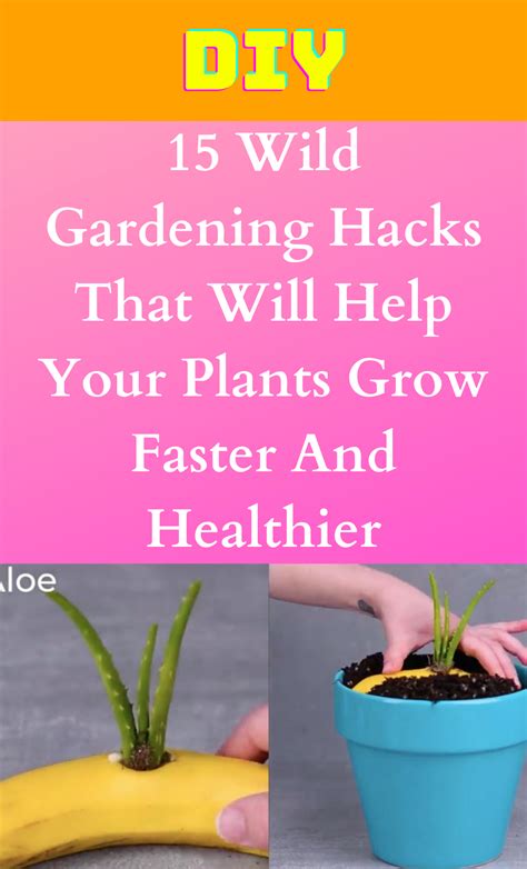 15 wild gardening hacks that will help your plants grow faster and healthier diy life hacks